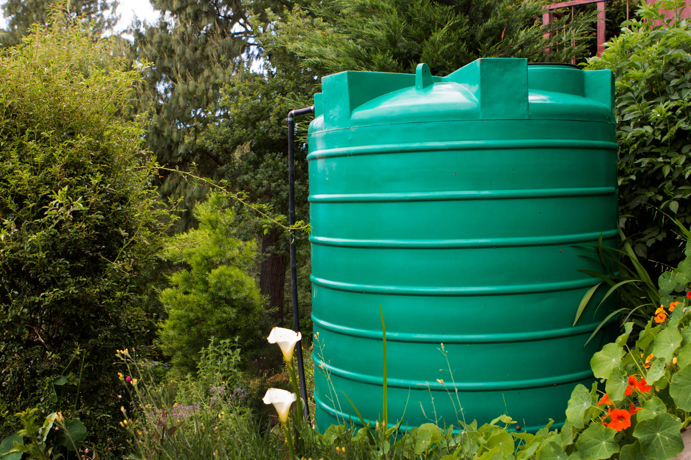 Large green water storage tank surrounded by plants and trees in a garden.