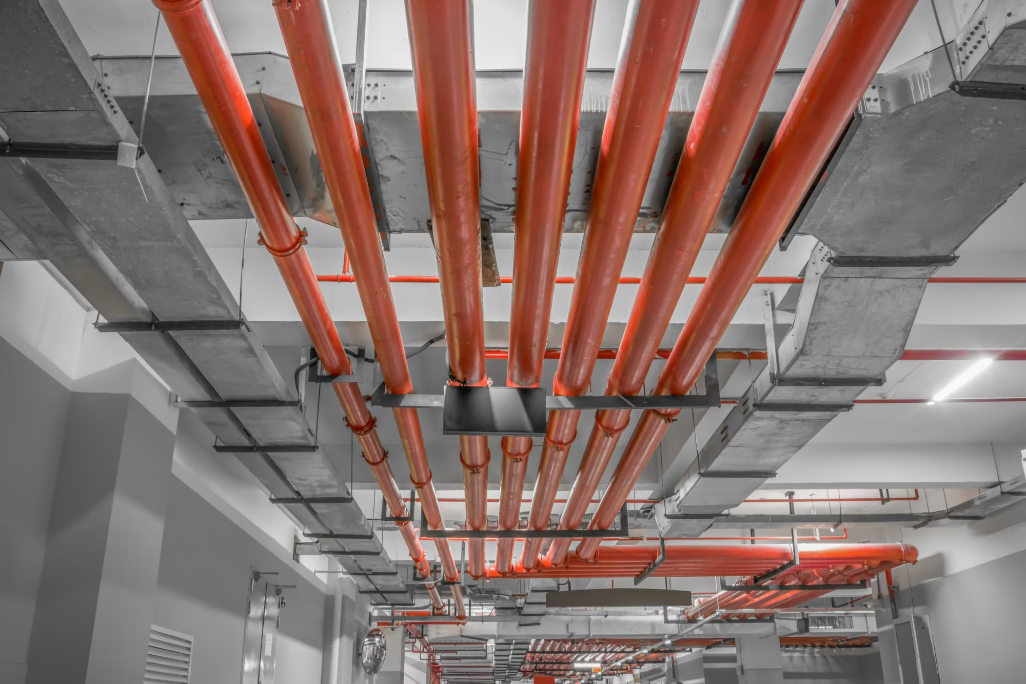 Overhead fire sprinkler piping network with red pipes installed in a commercial building, illustrating NFPA 13, 13R, and 13D system design differences