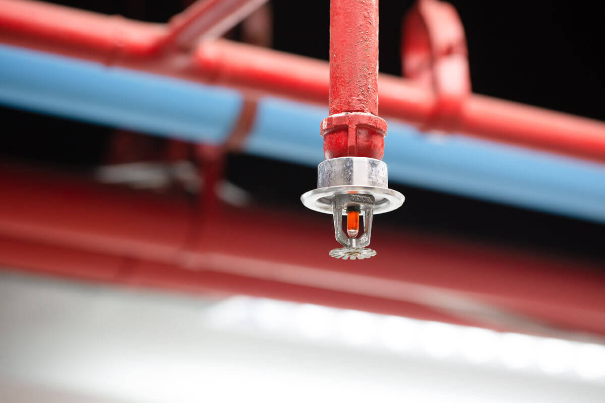 Close-up of a red wet pipe fire sprinkler head mounted to ceiling piping.